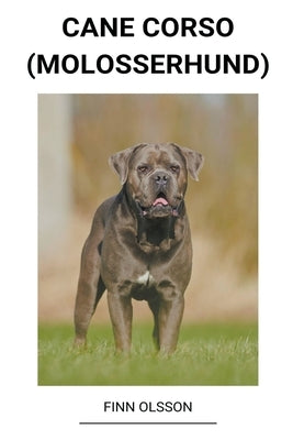 Cane Corso (Molosserhund) by Olsson, Finn