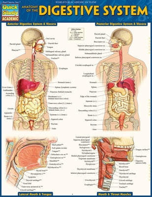 Anatomy of the Digestive System: Quickstudy Laminated Reference Guide by Perez, Vincent