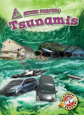 Tsunamis by Rathburn, Betsy