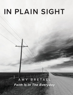 In Plain Sight: Faith Is In The Everyday by Bretall, Amy