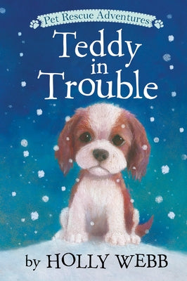 Teddy in Trouble by Webb, Holly