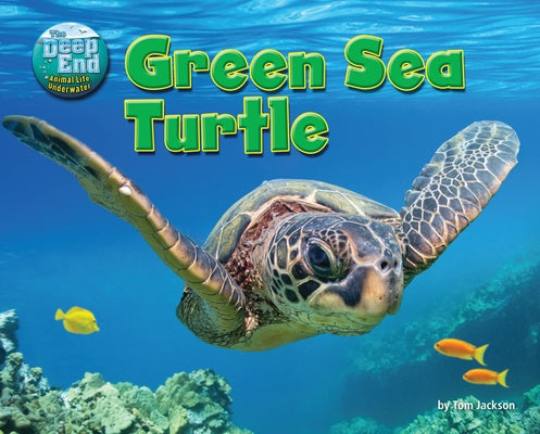 Green Sea Turtle by Jackson, Tom