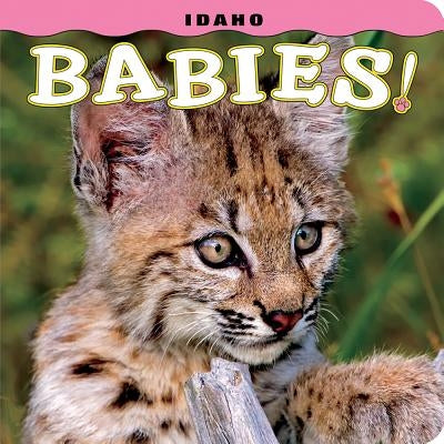 Idaho Babies! by Lehmann, Steph