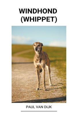 Windhond (Whippet) by Dijk, Paul Van