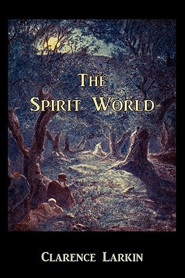 The Spirit World by Larkin, Clarence