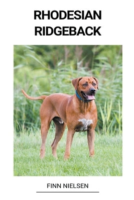 Rhodesian ridgeback by Nielsen, Finn