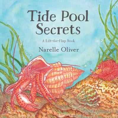 Tide Pool Secrets by Oliver, Narelle