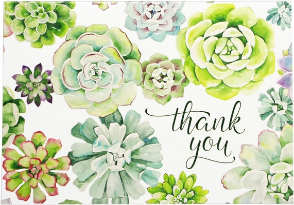 Succulent Garden Thank You Notes by Peter Pauper Press, Inc