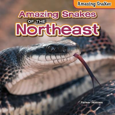 Amazing Snakes of the Northeast by Holmes, Parker