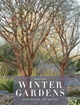 Winter Gardens: Reinventing the Season by Pollet, Cedric