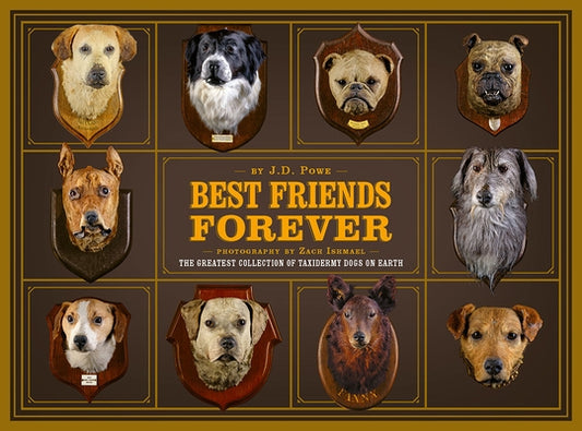 Best Friends Forever: The Greatest Collection of Taxidermy Dogs on Earth by Powe, J. D.