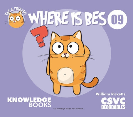 Where Is Bes?: Book 9 by Ricketts, William
