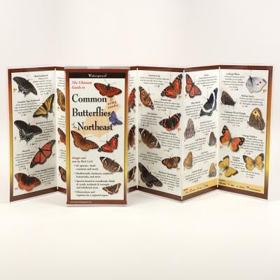 Common Butterflies of the Northeast by Cech, Rick