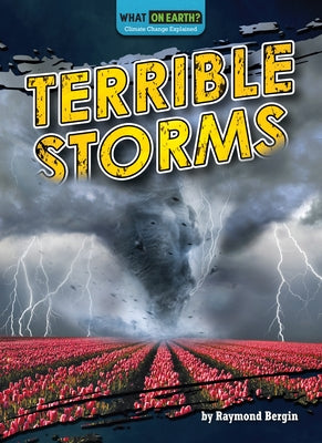 Terrible Storms by Bergin, Raymond