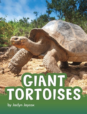 Giant Tortoises by Jaycox, Jaclyn
