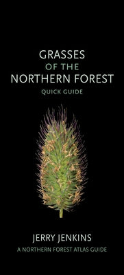 Grasses of the Northern Forest: Quick Guide by Jenkins, Jerry