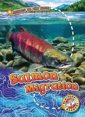 Salmon Migration by Schuetz, Kari