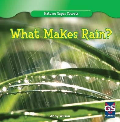 What Makes Rain? by Wilson, Annmarie