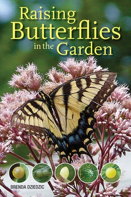 Raising Butterflies in the Garden by Dziedzic, Brenda