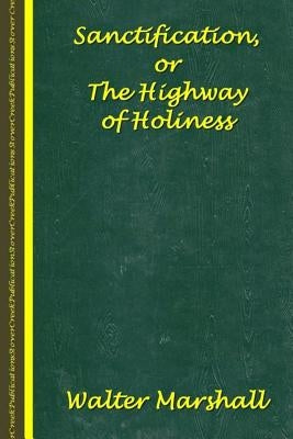 Sanctification; The Highway of Holiness by Murray, Andrew