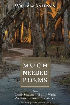Much Needed Poems by Baldwin, William P.
