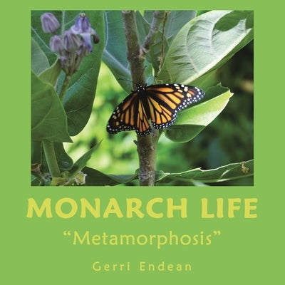 Monarch Life: Metamorphosis by Endean, Gerri