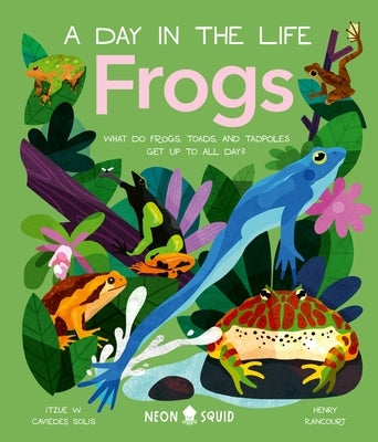Frogs (a Day in the Life): What Do Frogs, Toads, and Tadpoles Get Up to All Day? by Caviedes-Solis, Itzue W.