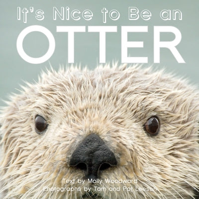 It's Nice to Be an Otter by Woodward, Molly