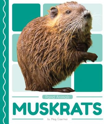 Muskrats by Gaertner, Meg