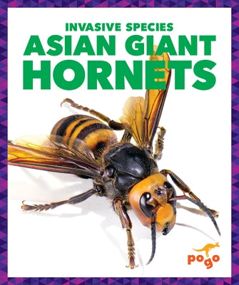 Asian Giant Hornets by Klepeis, Alicia Z.