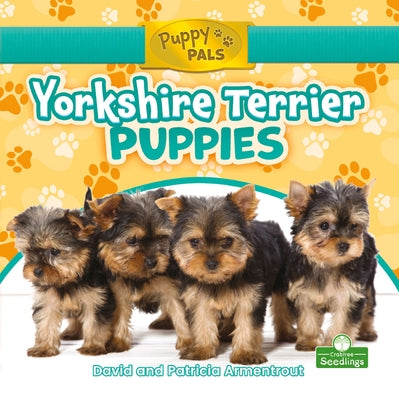 Yorkshire Terrier Puppies by Armentrout, David