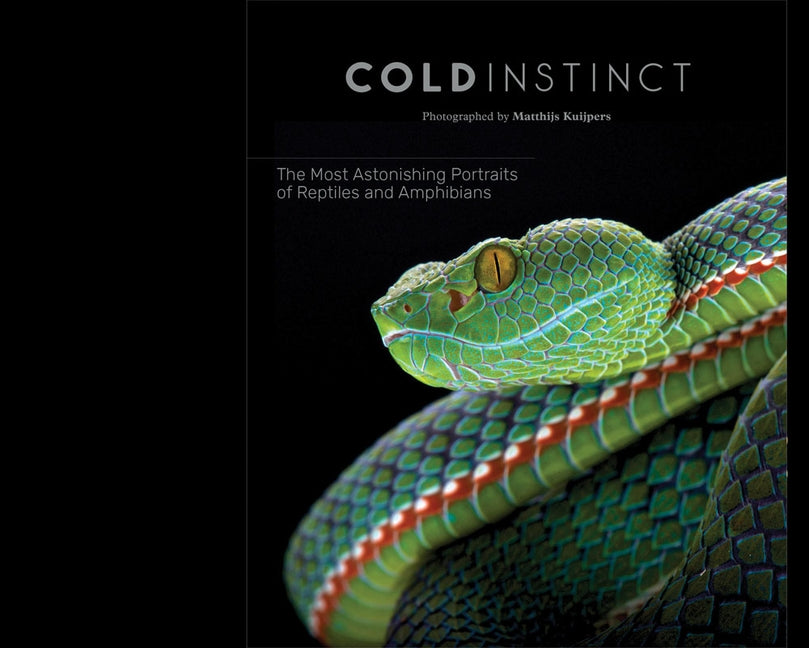 Matthijs Kuijpers: Cold Instinct by Kuijpers, Matthijs