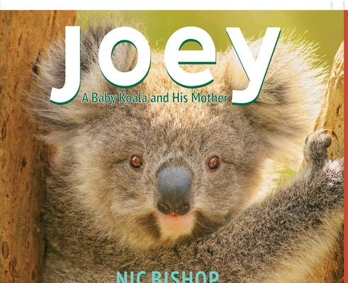 Joey: A Baby Koala and His Mother by Bishop, Nic