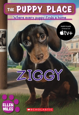 Ziggy (the Puppy Place #21) by Miles, Ellen