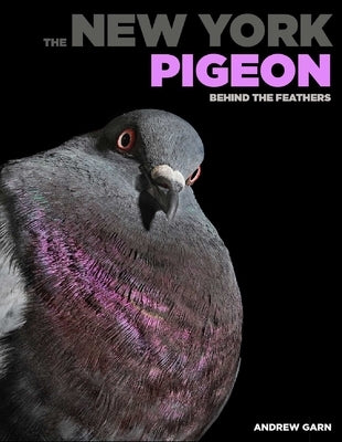 The New York Pigeon: Behind the Feathers by Garn, Andrew