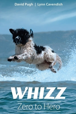Whizz: Zero to Hero by Pugh, David