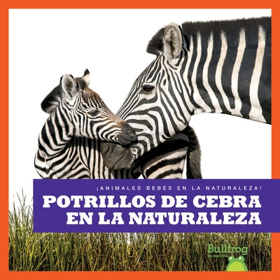 Potrillos de Cebra En La Naturaleza (Zebra Foals in the Wild) by Brandle, Marie