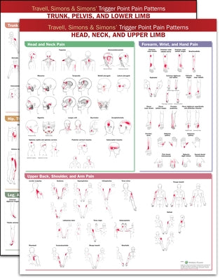 Travell, Simons & Simons' Trigger Point Pain Patterns Wall Charts Package by Anatomical Chart Company