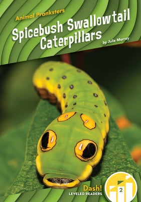 Spicebush Swallowtail Caterpillars by Murray, Julie