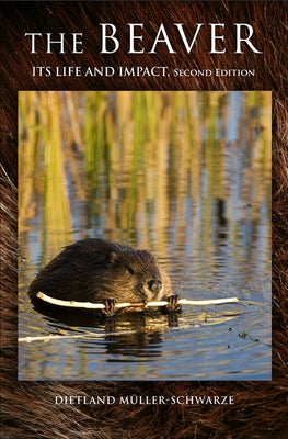 The Beaver: Natural History of a Wetlands Engineer by M&#252;ller-Schwarze, Dietland