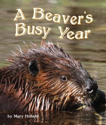 The Beavers' Busy Year by Holland, Mary