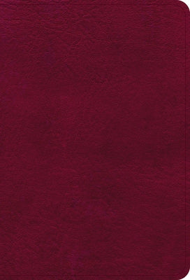 NASB Large Print Compact Reference Bible, Burgundy Leathertouch by Holman Bible Publishers