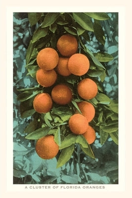 Vintage Journal Florida Oranges by Found Image Press