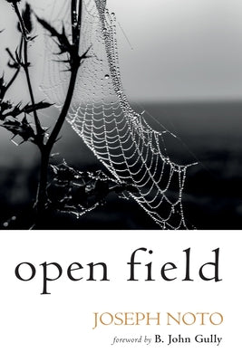 Open Field by Noto, Joseph