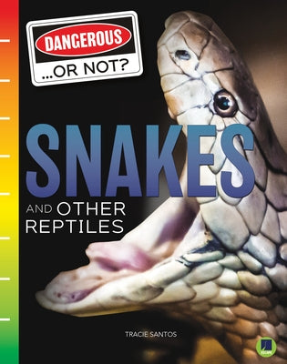 Snakes and Other Reptiles by Santos, Tracie