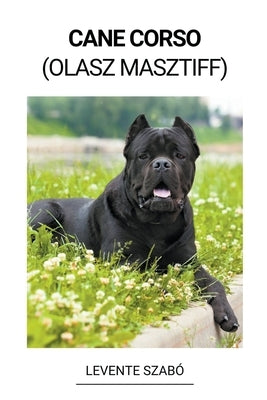 Cane Corso (Olasz Masztiff) by Szab&#243;, Levente