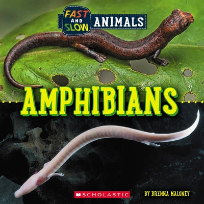 Fast and Slow: Amphibians (Wild World) by Maloney, Brenna