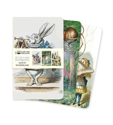 Alice in Wonderland Set of 3 Mini Notebooks by Flame Tree Studio