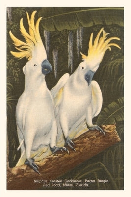 Vintage Journal Sulfur-Crested Cockatoos, Miami, Florida by Found Image Press