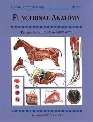 Functional Anatomy: Threshold Picture Guide No 43 by Colles, Chris